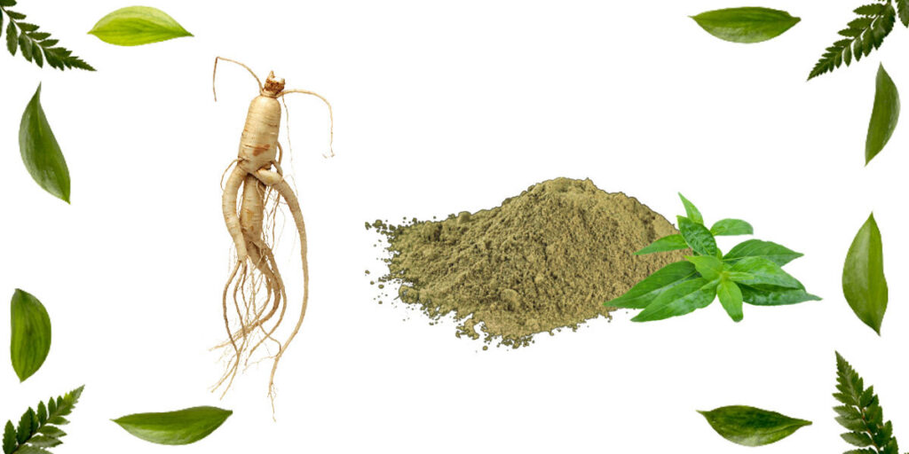 Reclaiming Your Crown: Korean Red Ginseng and Bhringraj Extract for Hair Regrowth